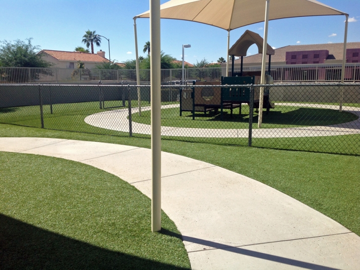 Best Artificial Grass Wauchula, Florida Lawn And Landscape, Commercial Landscape