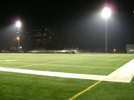 Fake Grass Broward Estates, Florida Stadium