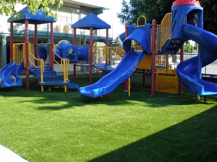 Fake Grass Carpet Glen Ridge, Florida Lawn And Garden, Commercial Landscape