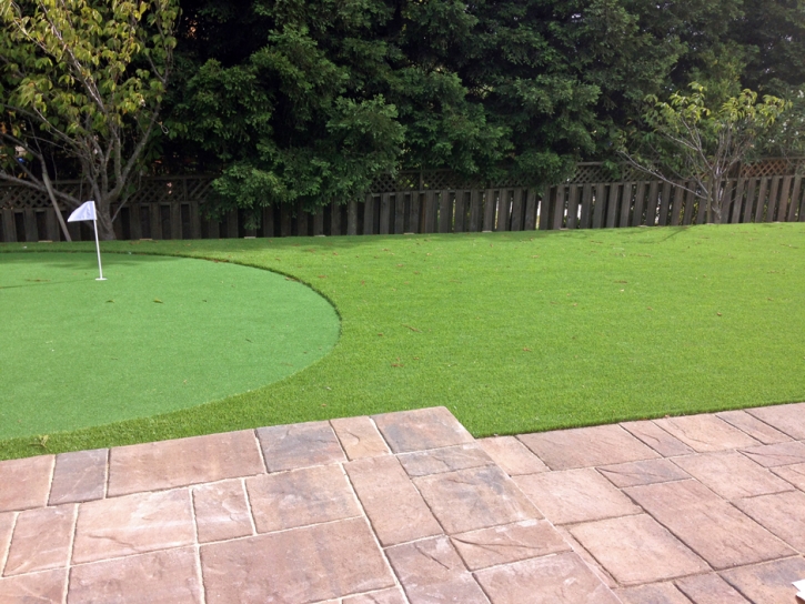 Fake Grass Carpet Miami Gardens, Florida Design Ideas, Backyards