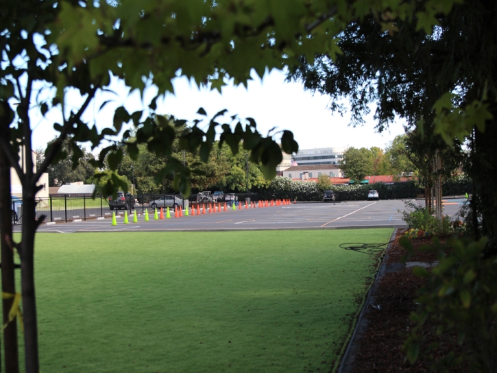 Fake Grass Carpet Page Park, Florida Sports Turf, Commercial Landscape