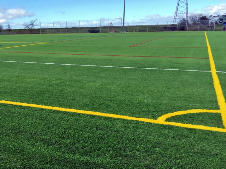 Fake Grass Carpet River Park, Florida Soccer Fields