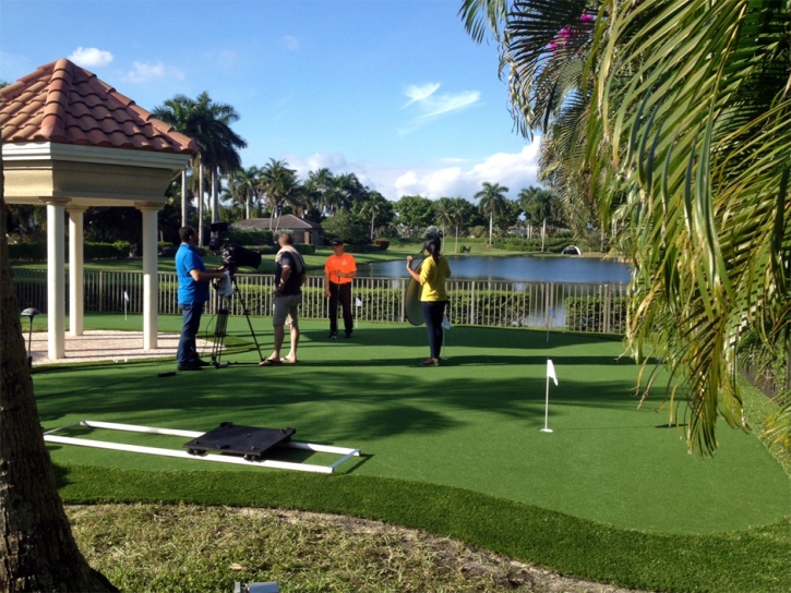 Fake Grass Fountainebleau, Florida Office Putting Green, Beautiful Backyards