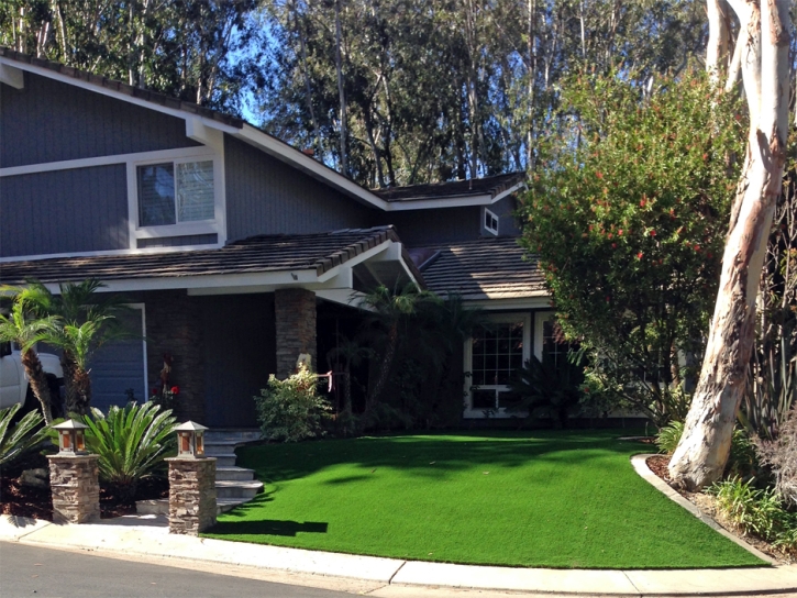 Fake Grass Palm Beach, Florida City Landscape, Front Yard Landscaping Ideas