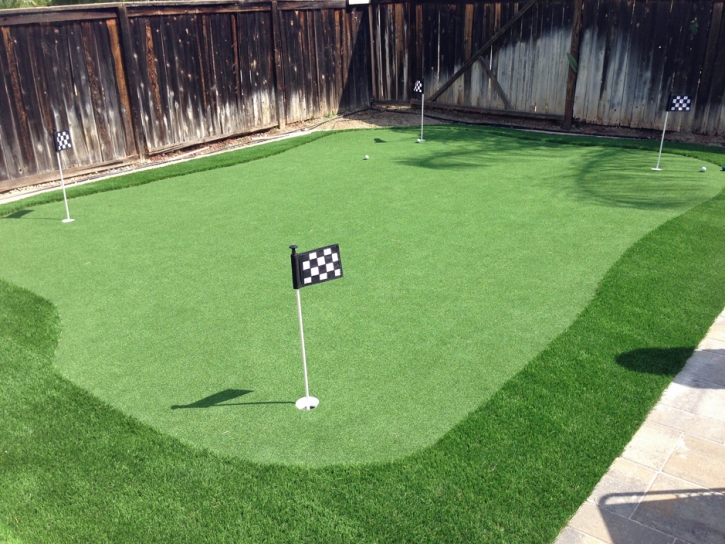 Fake Grass Palmetto Estates, Florida Putting Green Turf, Backyard Landscape Ideas