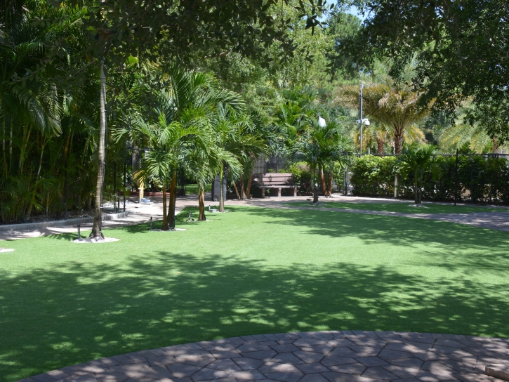 Fake Grass Winter Beach, Florida Lawn And Landscape, Commercial Landscape