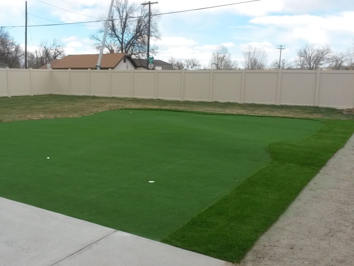 Fake Lawn Burnt Store Marina, Florida Indoor Putting Green, Backyard Designs