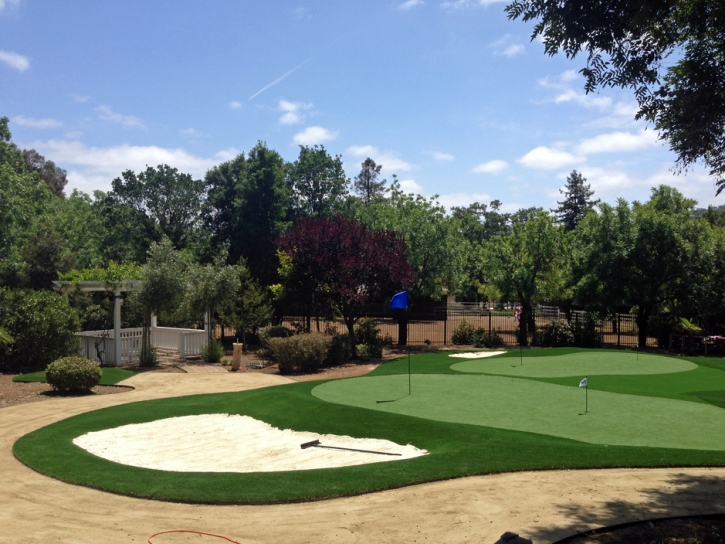 Fake Lawn Margate, Florida Paver Patio, Front Yard Landscaping Ideas