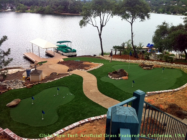 Fake Turf Key Biscayne, Florida Indoor Putting Green, Backyard Garden Ideas