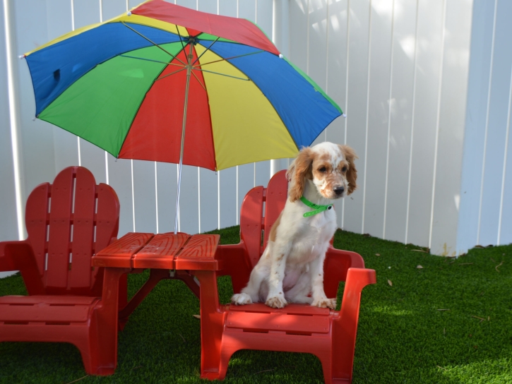 Faux Grass Charlotte Harbor, Florida Grass For Dogs, Dog Kennels