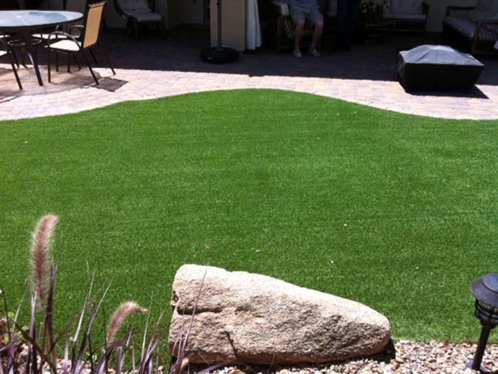 Faux Grass Pine Castle, Florida Pet Turf, Backyards