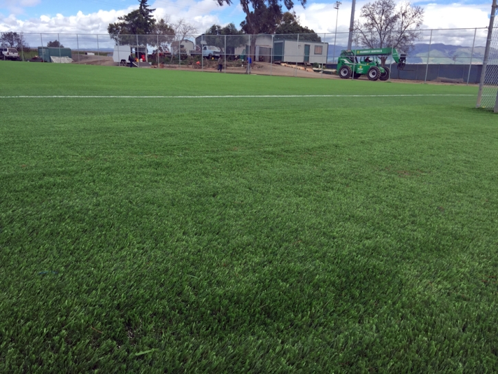 Faux Grass Port Saint Lucie, Florida High School Sports