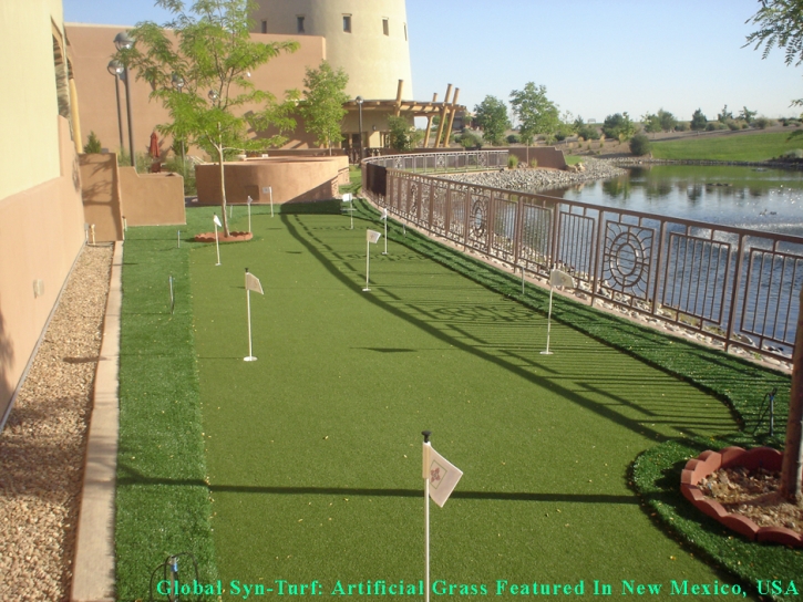 Grass Carpet Brownsville, Florida Best Indoor Putting Green, Backyard Landscape Ideas