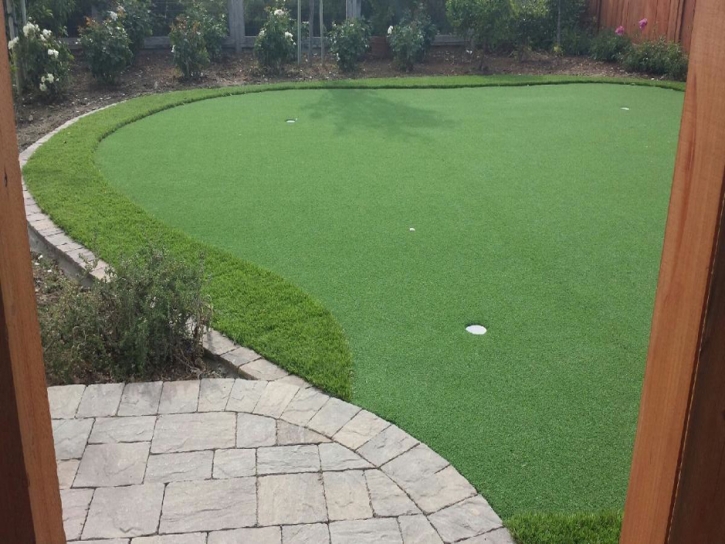 Grass Carpet Hialeah Gardens, Florida Office Putting Green, Backyard Garden Ideas