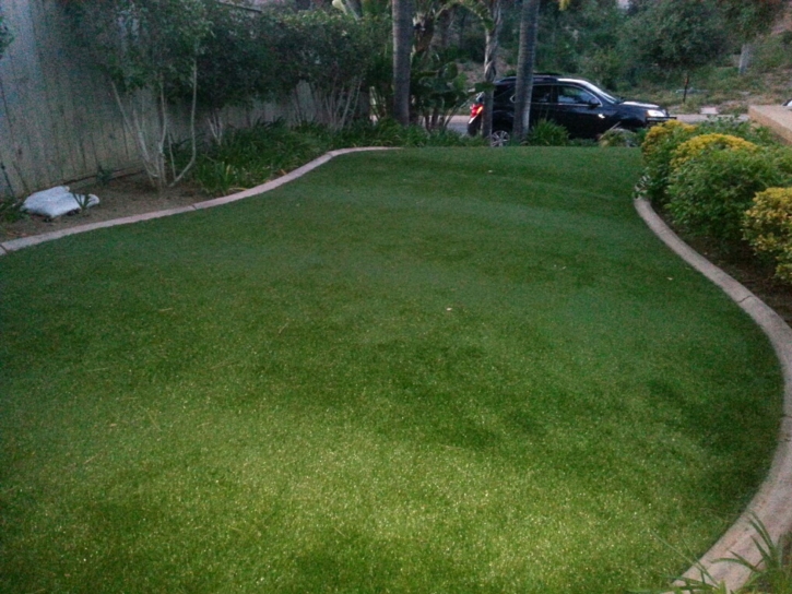 Grass Carpet Micco, Florida Lawn And Garden, Front Yard Ideas