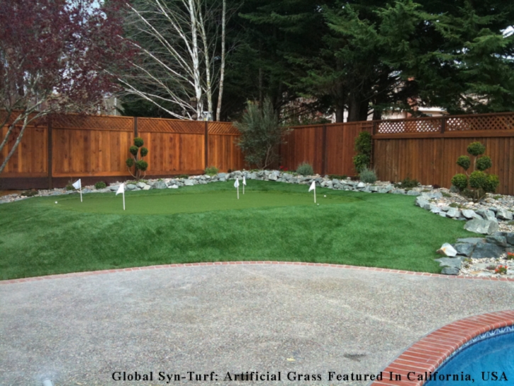 Grass Carpet Pinewood, Florida Indoor Putting Green, Backyard Design