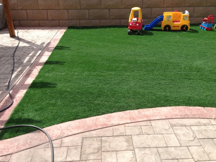 Grass Carpet Port Charlotte, Florida Rooftop, Backyard Landscape Ideas