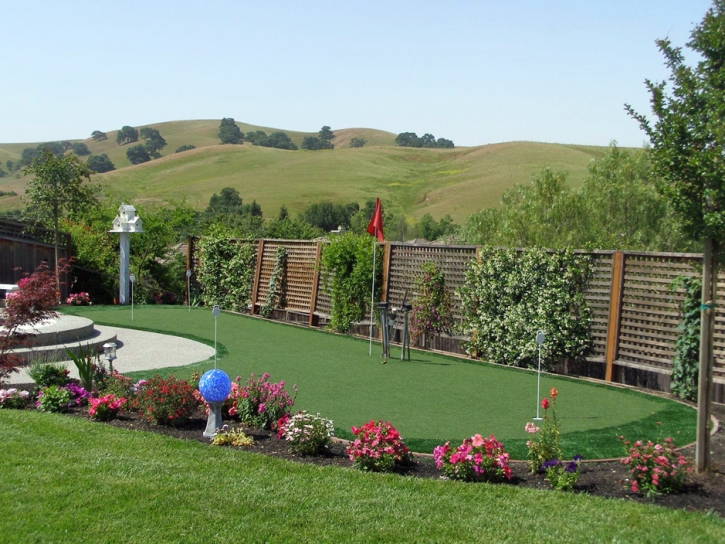 Grass Installation Mission Bay, Florida Home Putting Green, Small Backyard Ideas