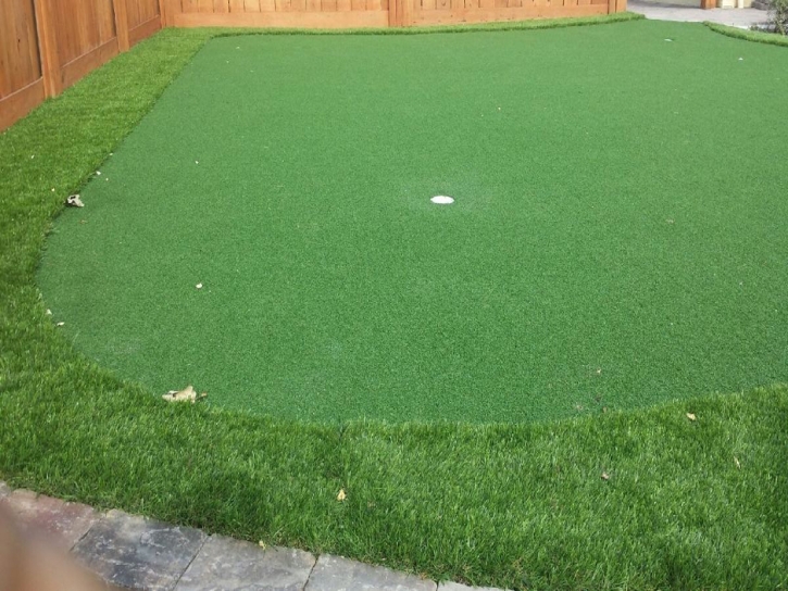 Grass Turf Boca Pointe, Florida Putting Green Carpet