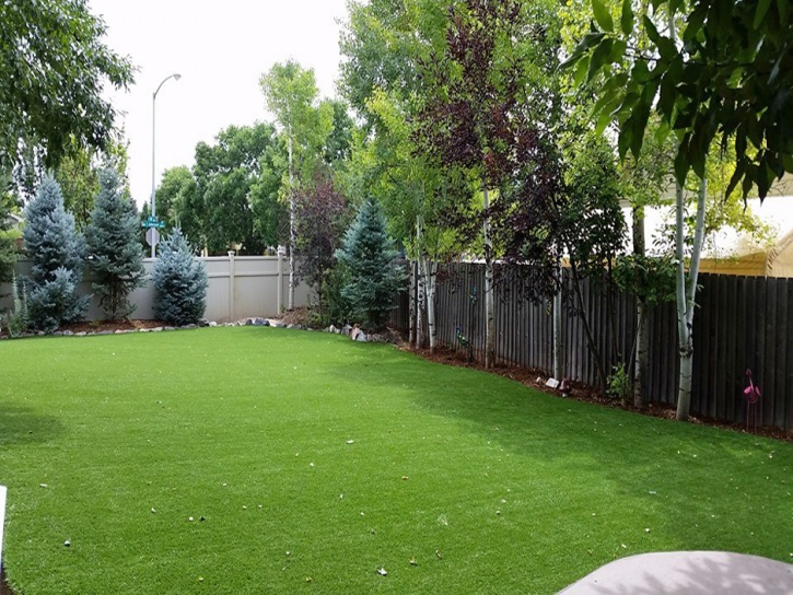 Grass Turf Juno Ridge, Florida Garden Ideas, Backyards