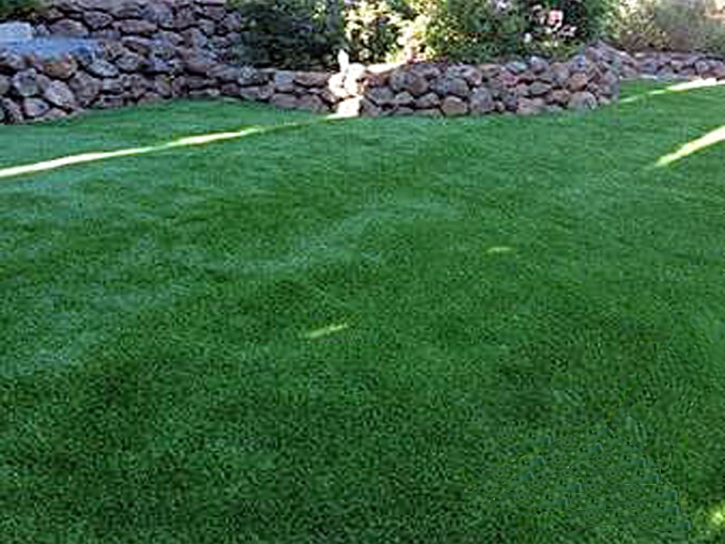 Grass Turf Sebring, Florida Gardeners, Backyard Design