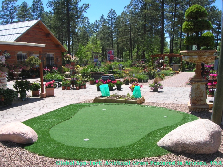 Green Lawn Fisher Island, Florida Outdoor Putting Green, Backyard Design