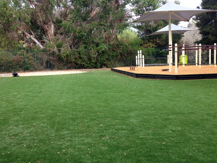 Green Lawn Manasota Key, Florida Lacrosse Playground