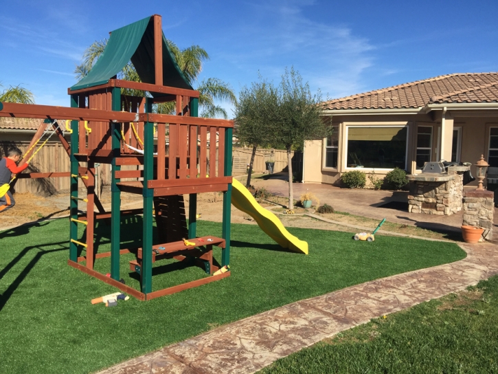 Green Lawn Vineyards, Florida Rooftop, Backyards