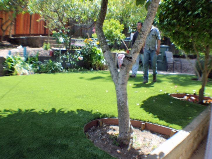 How To Install Artificial Grass Iona, Florida Backyard Deck Ideas, Backyards