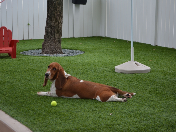 Installing Artificial Grass Arcadia, Florida Drainage, Dogs Park