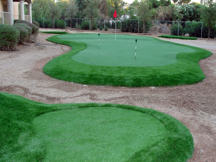 Lawn Services Hialeah Gardens, Florida Putting Green Flags, Backyard Designs