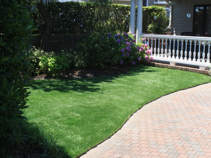 Lawn Services Holden Heights, Florida Artificial Turf For Dogs, Front Yard Landscaping