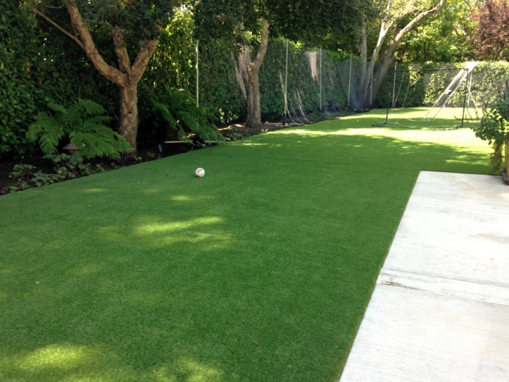 Outdoor Carpet Bay Lake, Florida Garden Ideas