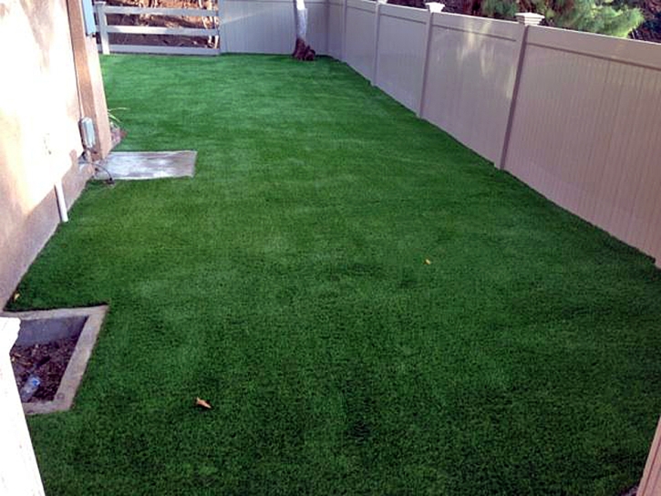 Outdoor Carpet Key Largo, Florida Dog Park, Backyard Makeover