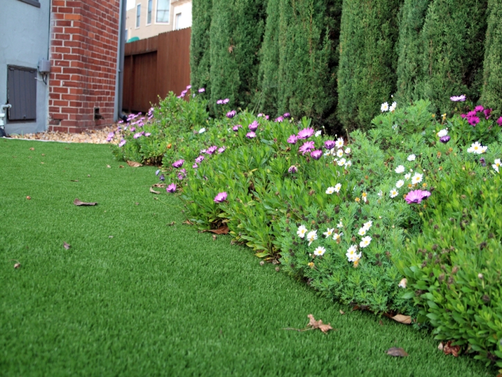 Outdoor Carpet North Palm Beach, Florida Landscape Ideas, Front Yard Ideas
