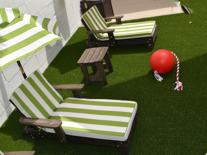 Plastic Grass North Port, Florida Backyard Playground, Backyard Landscaping Ideas