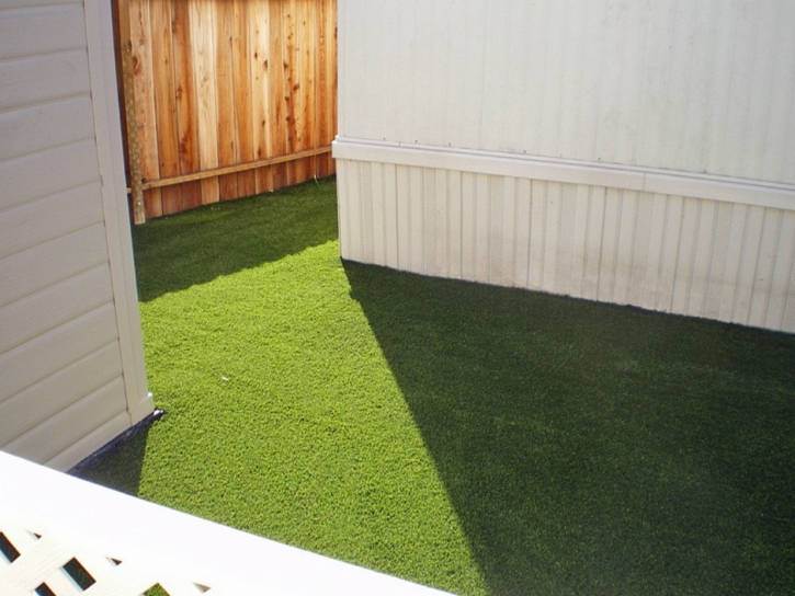 Synthetic Grass Briny Breezes, Florida City Landscape, Backyard Designs