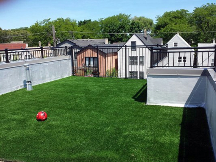 Synthetic Grass Coral Springs, Florida Cat Playground, Deck