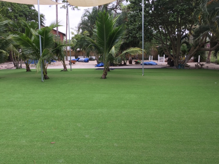 Synthetic Grass Cost Bokeelia, Florida Roof Top, Commercial Landscape