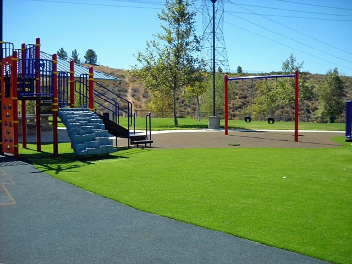 Synthetic Grass Cost Boulevard Gardens, Florida Lawns, Recreational Areas
