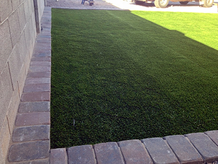 Synthetic Grass Cost Canal Point, Florida Pet Grass, Front Yard Landscaping Ideas