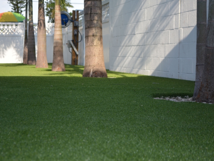 Synthetic Grass Cost Cleveland, Florida Design Ideas, Commercial Landscape