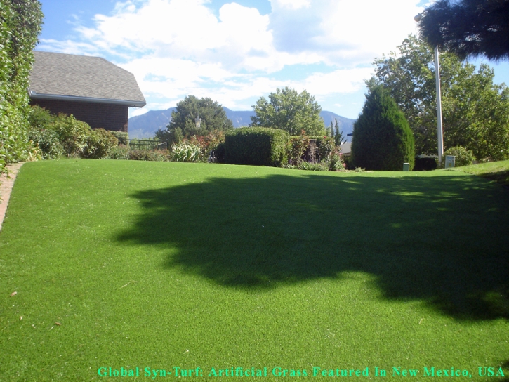 Synthetic Grass Cost El Portal, Florida Dog Grass, Backyard Garden Ideas