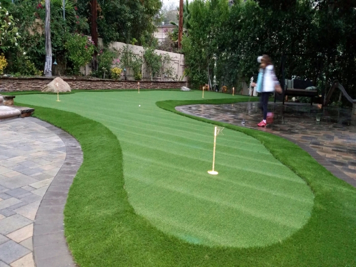 Synthetic Grass Cost Franklin Park, Florida Lawns, Backyard Designs