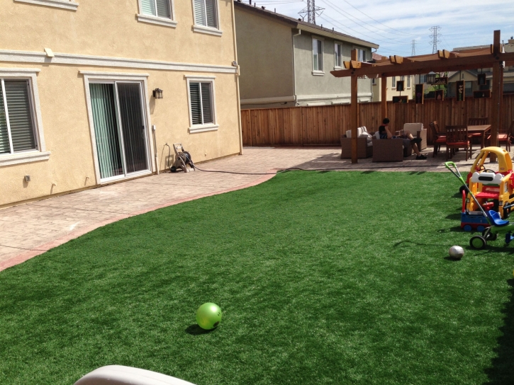 Synthetic Grass Cost Grant-Valkaria, Florida Gardeners, Backyards