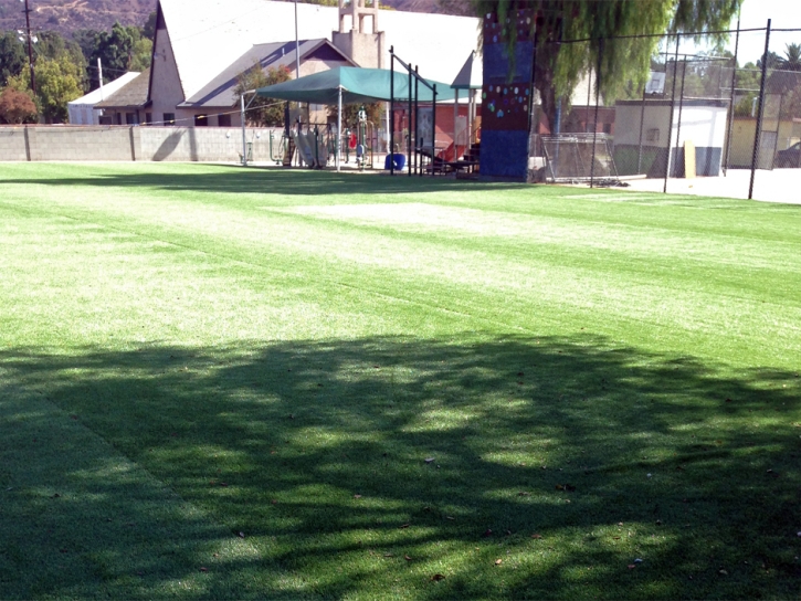 Synthetic Grass Cost Kendall, Florida Stadium, Recreational Areas