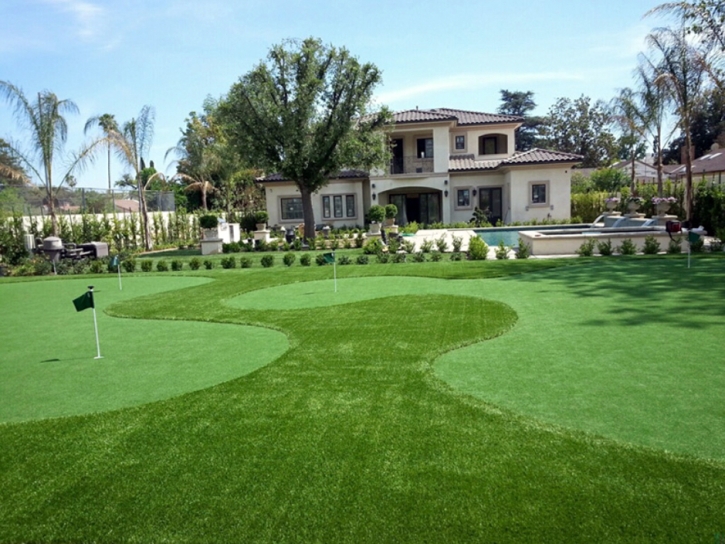 Synthetic Grass Cost Lazy Lake, Florida Landscape Ideas, Small Front Yard Landscaping