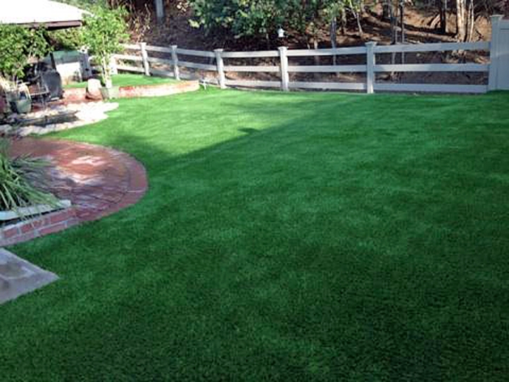 Synthetic Grass Cost Palm Aire, Florida Dogs, Backyard Garden Ideas