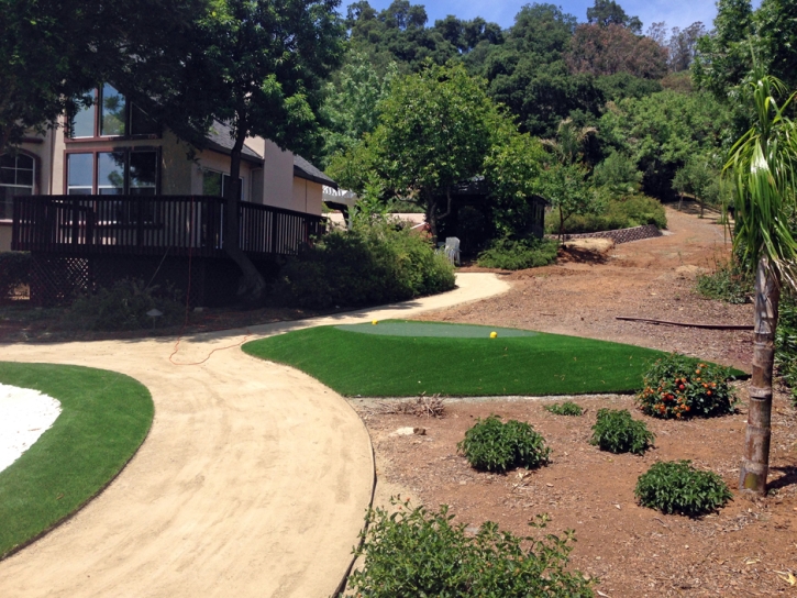 Synthetic Grass Cost Palm Springs, Florida Putting Green, Front Yard