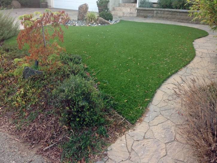 Synthetic Grass Cost Parkland, Florida Dog Grass, Beautiful Backyards